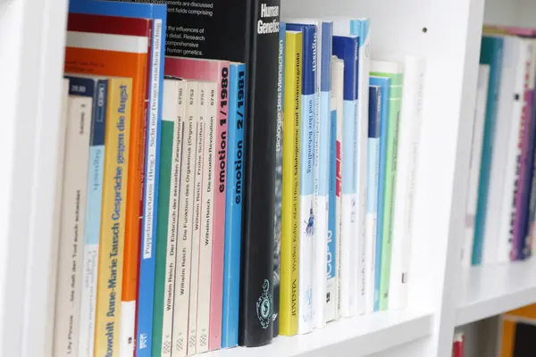Bücher stehen nebeneinander im Regal